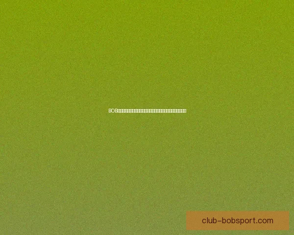 BOB体育登录平台介绍及注册流程详解，助你轻松进入体育博彩世界